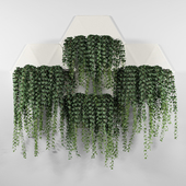 Hexagonal Honeycomb Succulent Wall Planter