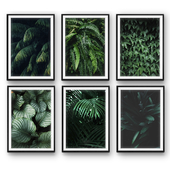 Tropical leaves | set 26