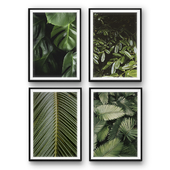 Tropical leaves | set 27