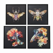 Картины в рамке Art Betta Fish Colore от Kare design