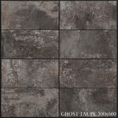 ABK Ghost Taupe 300x600