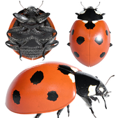Ladybug (vray NEXT)
