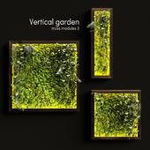 Vertical garden. Moss modules 3