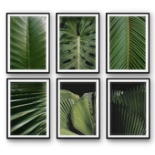 Tropical Leaves | set 31