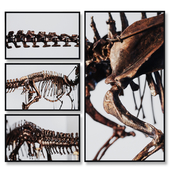 ORIENTO Skeleton | set 32