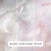 Creativille | Wallpapers | Feathers 4000