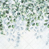 Creativille | Wallpapers | Eucalyptus leaves 4750