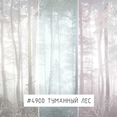 Creativille | Wallpapers | Misty forest 4900