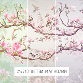 Creativille | Wallpapers | Magnolia branches 4710