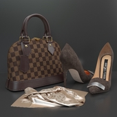 Elegant Bag and Shoes