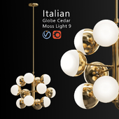 Italian_Globe_Cedar_Moss_Light_9