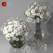 White Daisy / Chamomile/ Chrysanthemum glass Bouquet Vases