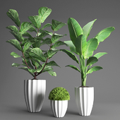 Plant Set 3