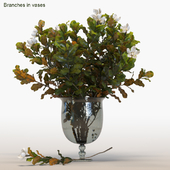 Branches in vases #5