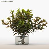 Branches in vases #6