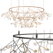 Decorative Double Moooi Heracleum