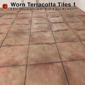 Worn Terracotta Tiles - 1