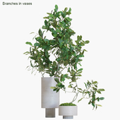 Branches in vases #13