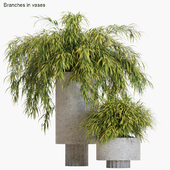Branches in vases #14 : Hakonechloa