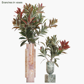 Branches in vases #17