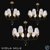 Viola Milk