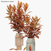 Branches in vases 27 : Autumn flame