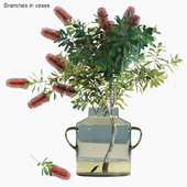 Branches in vases 31