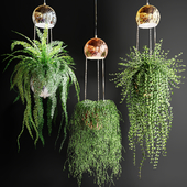 Ампельные растения в шарах кашпо со светильниками