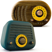 Portable FM Radio Speakers