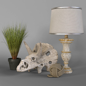 Decorative set with a dinosaur skull