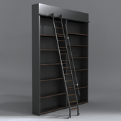 ladder & book shelf.