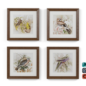 Pretty Bird 4 Piece Framed Print Set-007