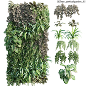 Verticalgarden - Green wall 15