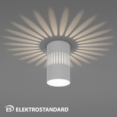 ОМ Накладной светодиодный светильник Elektrostandard DLS026