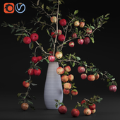Red Cherry tomato apple branches Dry leaves Vase