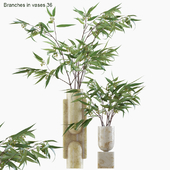 Branches in vases 36 : Eucalyptus