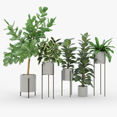 Dundee Light Gray Planters with Stands