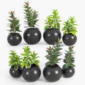 Sphere Dark Gray Planter