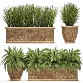 A collection of plants in classic outdoor pots vases with monograms with ferns, bushes, grass, flowerbed. Set 496.