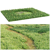 Gagea lutea and Grass. Гусиный (Птичий) лук и трава.