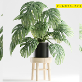 plants 273