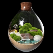 Decorative terrarium