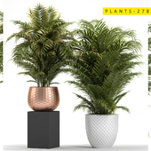 plants 278