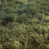 Летняя трава с крапивой