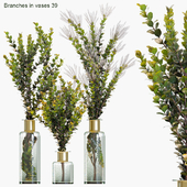 Branches in vases 39