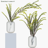 Branches in vases 41