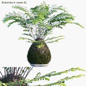 Branches in vases 42: Kokedama