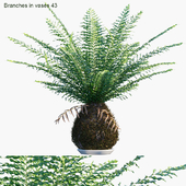 Branches in vases 43 : Kokedama
