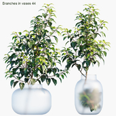 Branches in vases 44