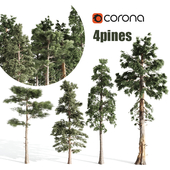 4 pines